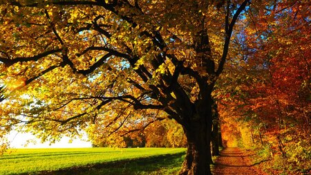 Die vier Jahreszeiten – einmal anders «Herbst» | © FSL - Festival Strings Lucerne