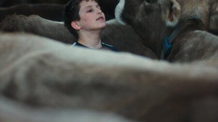 Filmprogramm der 10. Zuger Filmtage: Gabin | © Verein Film Zug