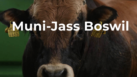 18. Muni-Jass in Boswil | © OK Muni-Jass Boswil
