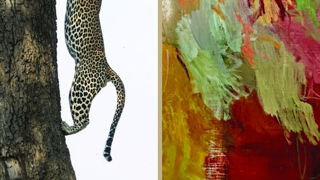 Michèle Buhofer Photoart & Helga Honegger Stähli | © Michèle Buhofer